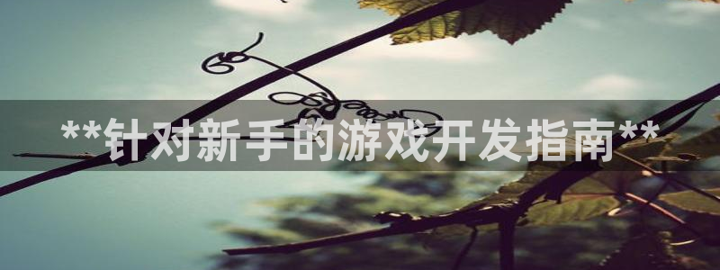 沐鸣娱乐2黑客户吗：**针对新手的游戏开发指南**