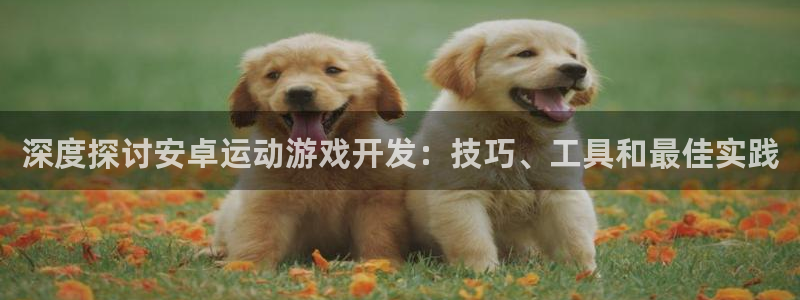 沐鸣2娱乐注册登录平台：深度探讨安卓运动游戏开发：技巧、工具和最佳实践