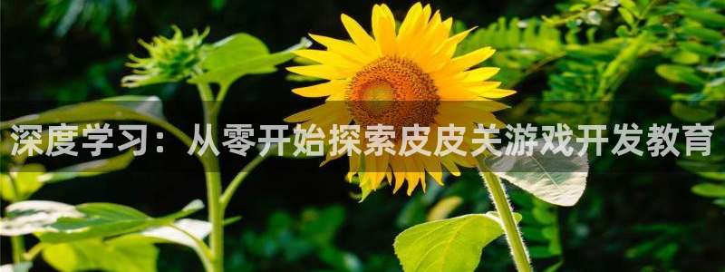 沐鸣2平台注册：深度学习：从零开始探索皮皮关游戏开发教育