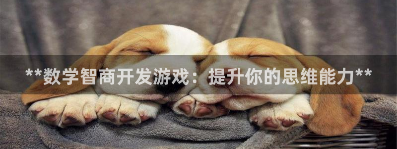 沐鸣2平台是杏彩的吗：**数学智商开发游戏：提升你的思维能力**