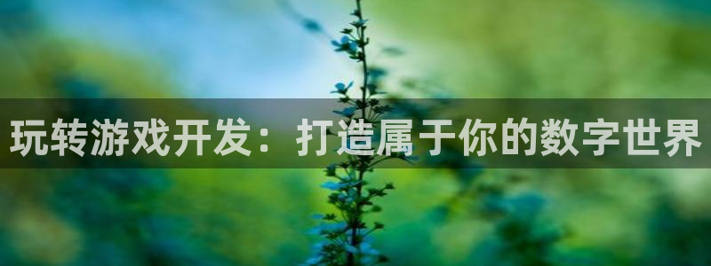 沐鸣2平台是杏彩的吗：玩转游戏开发：打造属于你的数字世界