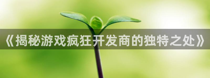 沐鸣2注册流程：《揭秘游戏疯狂开发商的独特之处》