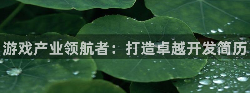沐鸣娱乐2官方平台：游戏产业领航者：打造卓越开发简历