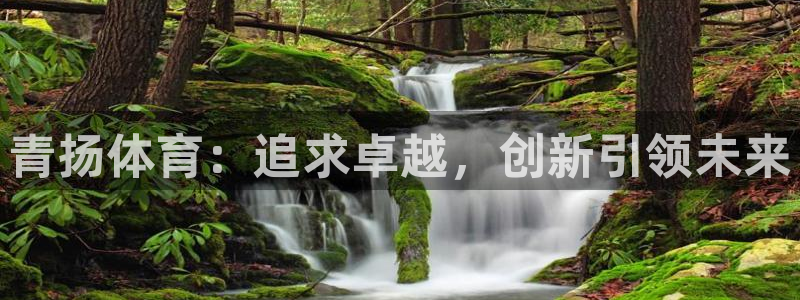 bsports必一运动：青扬体育：追求卓越，创新引领未来