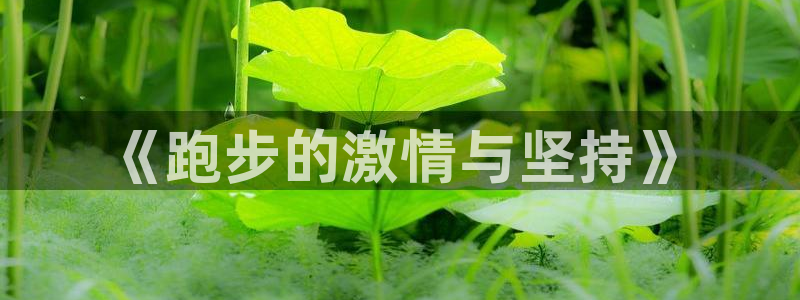 必一运动：《跑步的激情与坚持》