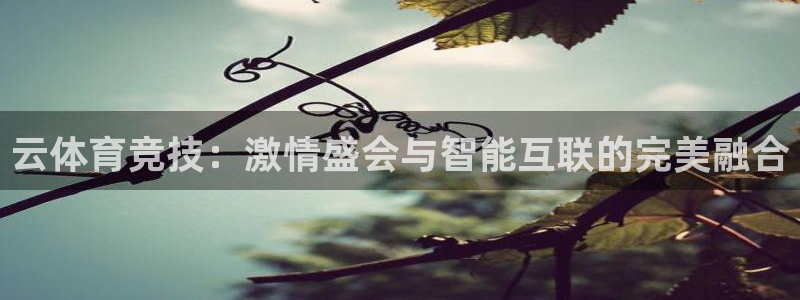 必一运动体育官网入口：云体育竞技：激情盛会与智能互联的完美融合