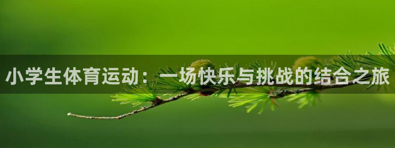 必一运动：小学生体育运动：一场快乐与挑战的结合之旅