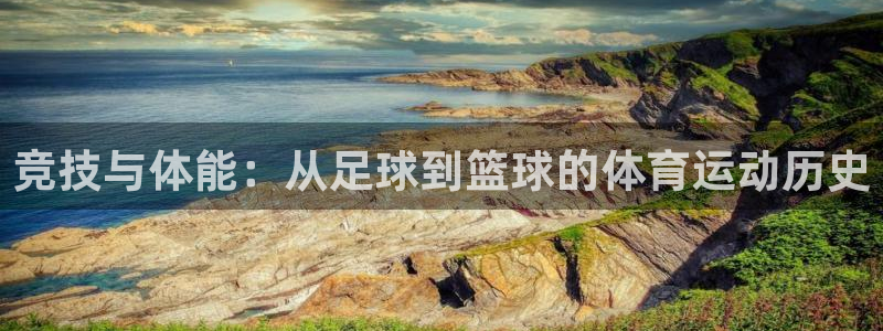 必一运动：竞技与体能：从足球到篮球的体育运动历史