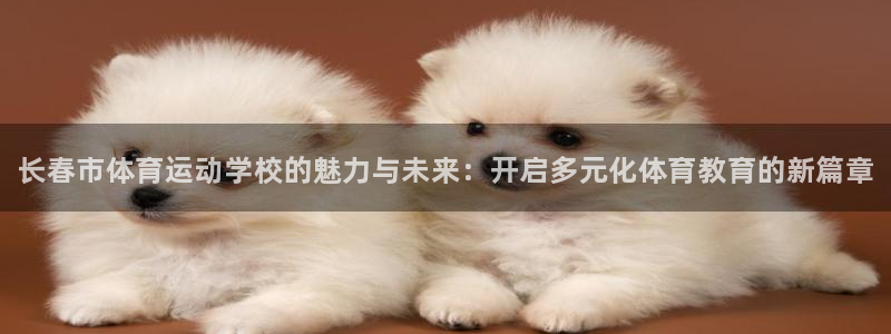 bsports必一运动：长春市体育运动学校的魅力与未来：开启多元化体育教育的新篇章