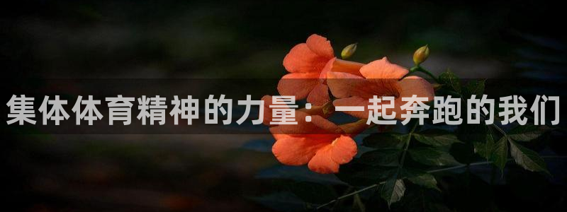 必一运动体育官网入口：集体体育精神的力量：一起奔跑的我们