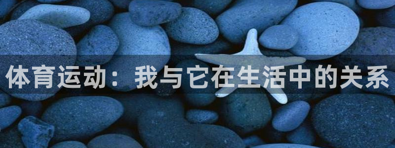必一运动：体育运动：我与它在生活中的关系