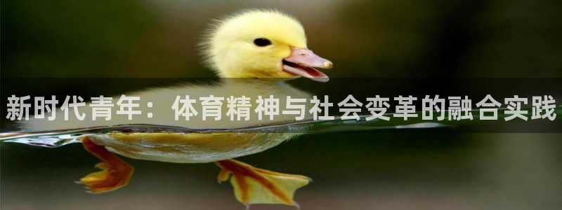 必一运动官网：新时代青年：体育精神与社会变革的融合实践