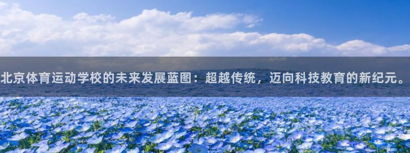 必一运动体育官网入口：北京体育运动学校的未来发展蓝图：超越传统，迈向科技教育的新纪元。