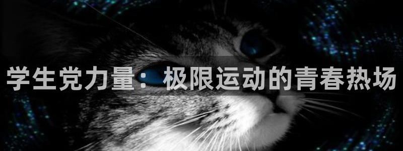 必一运动bsport体育