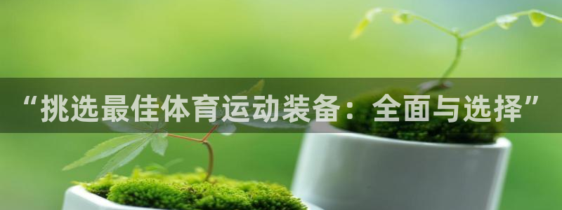 必一运动官网入口：“挑选最佳体育运动装备：全面与选择”