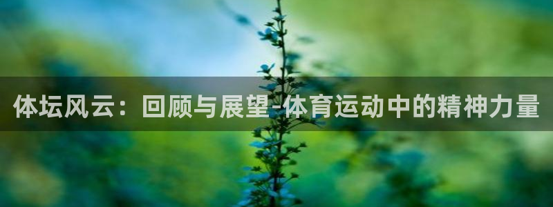 必一运动官网入口：体坛风云：回顾与展望-体育运动中的精神力量