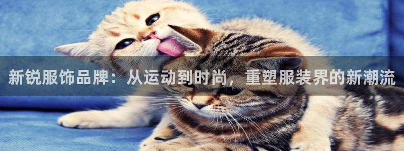 bsports官网 必一运动：新锐服饰品牌：从运动到时尚，重塑服装界的新潮流