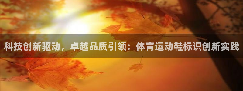 bsport必一运动