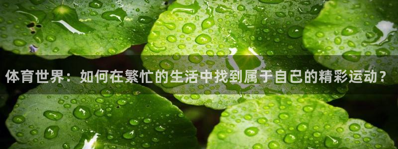 必一运动bsport体育：体育世界：如何在繁忙的生活中找到属于自己的精彩运动？