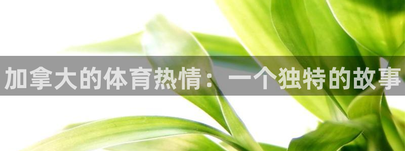 必一运动官网入口：加拿大的体育热情：一个独特的故事