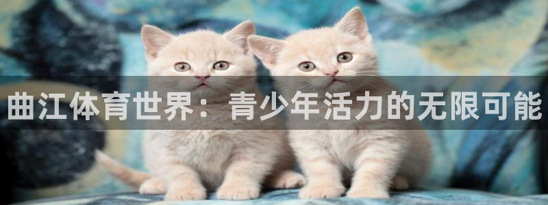 必一运动官网入口：曲江体育世界：青少年活力的无限可能