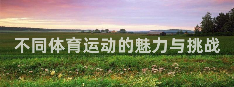 必一运动体育：不同体育运动的魅力与挑战