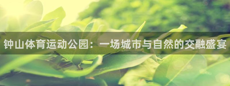 bsport必一运动