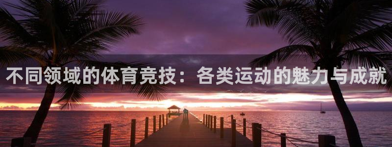 bsports官网 必一运动