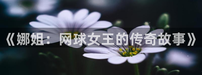 必一运动：《娜姐：网球女王的传奇故事》