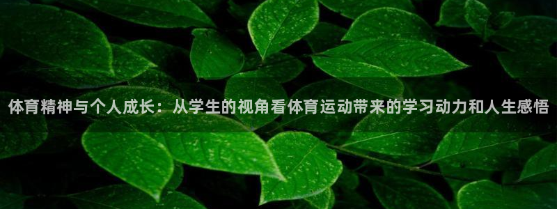 必一运动官网入口：体育精神与个人成长：从学生的视角看体育运动带来的学习动力和人生感悟