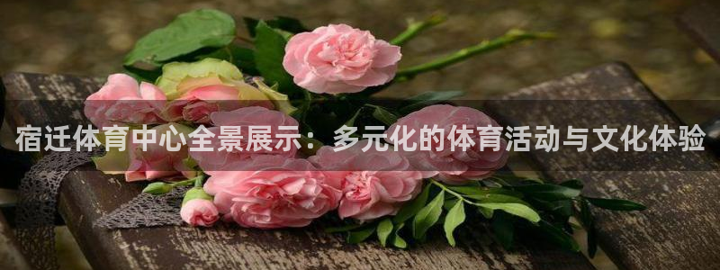 bsports官网 必一运动：宿迁体育中心全景展示：多元化的体育活动与文化体验
