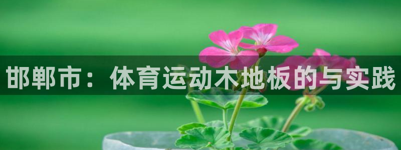 bsport必一运动：邯郸市：体育运动木地板的与实践