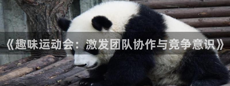 必一运动app：《趣味运动会：激发团队协作与竞争意识》