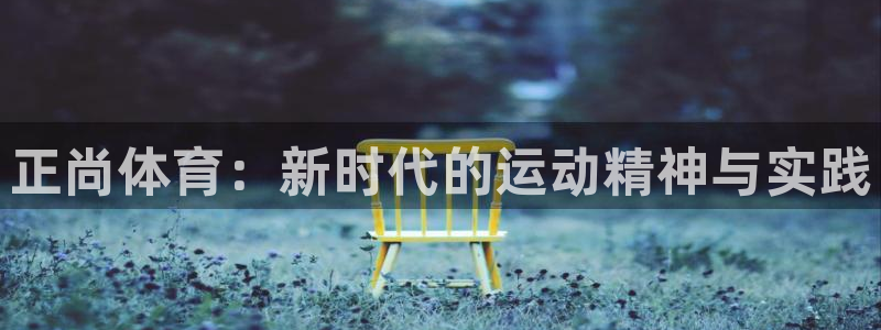 bsports官网 必一运动：正尚体育：新时代的运动精神与实践