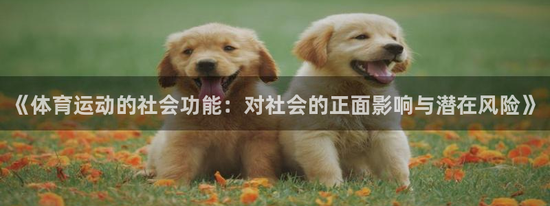 必一运动官网入口：《体育运动的社会功能：对社会的正面影响与潜在风险》