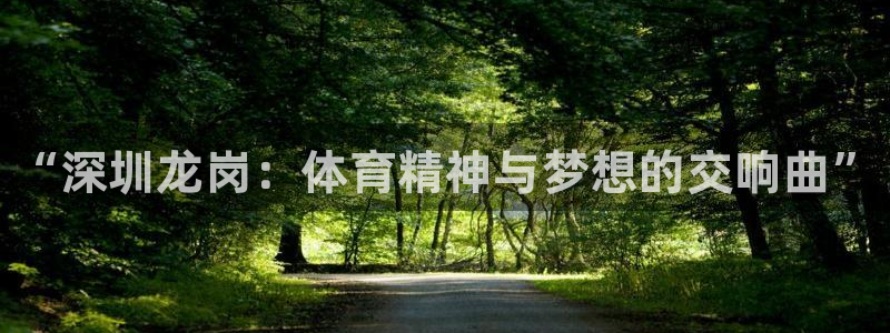 必一运动：“深圳龙岗：体育精神与梦想的交响曲”