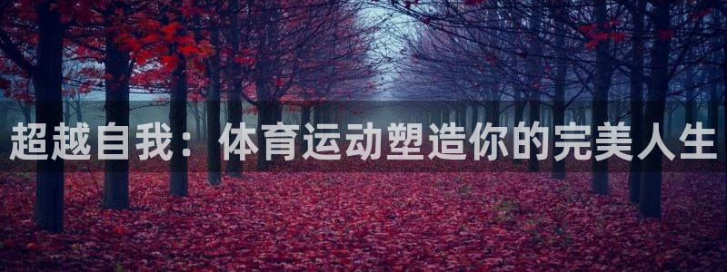 bsport必一运动：超越自我：体育运动塑造你的完美人生