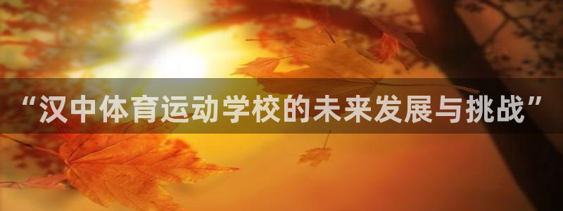 必一运动体育官网：“汉中体育运动学校的未来发展与挑战”