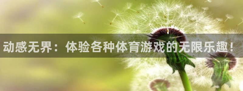bsport必一运动：动感无界：体验各种体育游戏的无限乐趣！