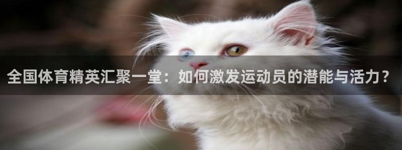 必一运动体育：全国体育精英汇聚一堂：如何激发运动员的潜能与活力？