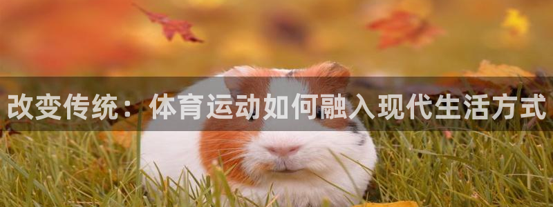必一运动app：改变传统：体育运动如何融入现代生活方式