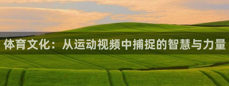 必一运动官网：体育文化：从运动视频中捕捉的智慧与力量