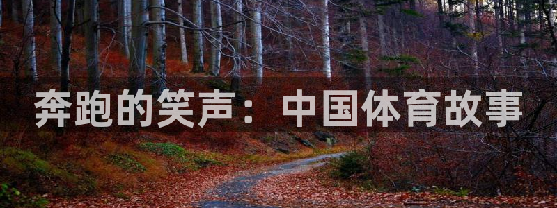 bsports必一运动：奔跑的笑声：中国体育故事