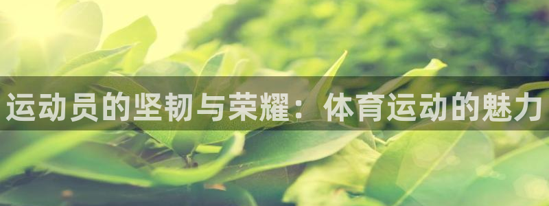 必一运动bsport体育：运动员的坚韧与荣耀：体育运动的魅力