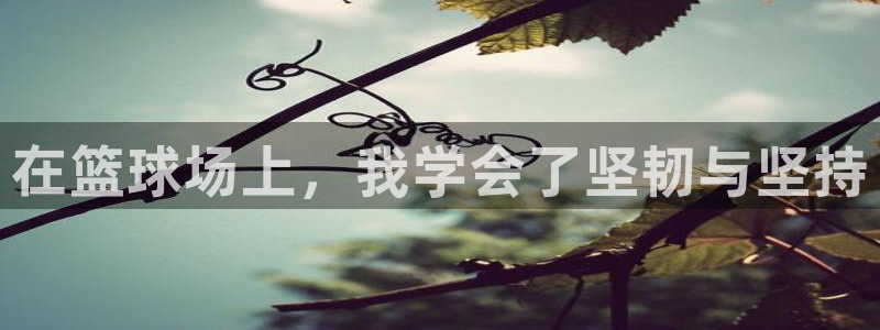 必一运动体育官网：在篮球场上，我学会了坚韧与坚持