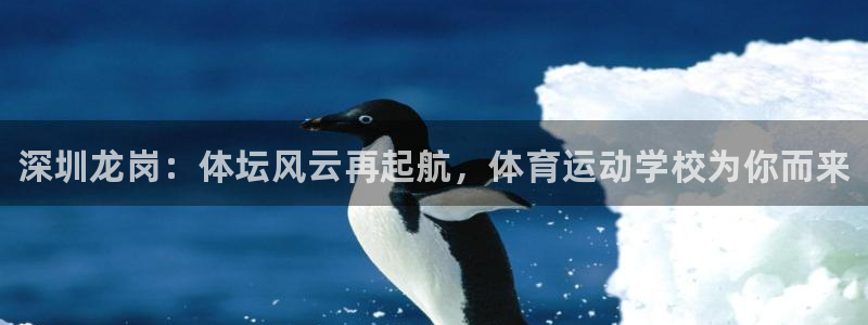 必一运动体育官网入口