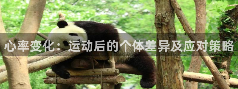 bsports必一运动：心率变化：运动后的个体差异及应对策略