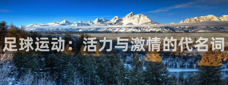 必一运动体育官网入口：足球运动：活力与激情的代名词
