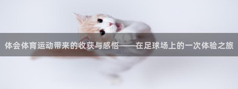 必一运动体育官网入口：体会体育运动带来的收获与感悟——在足球场上的一次体验之旅